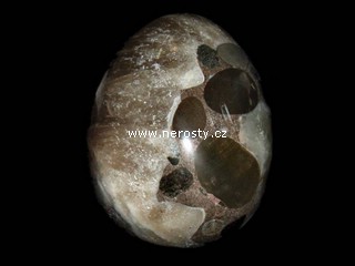 aragonite, egg