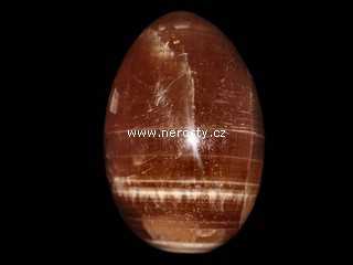 aragonite, egg