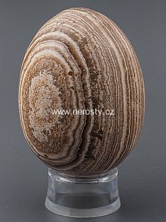 aragonite, egg