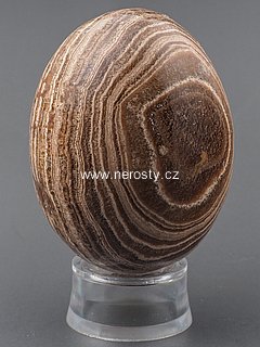 aragonite, egg