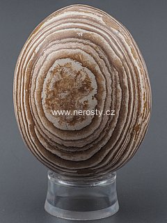 aragonite, egg