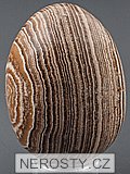 aragonite, egg