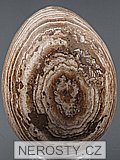 aragonite, egg