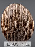 aragonite, egg