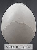 aragonite, egg