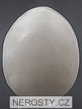 aragonite, egg