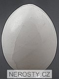 aragonite, egg