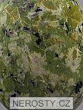 serpentinite, opal