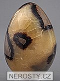 septaria, egg